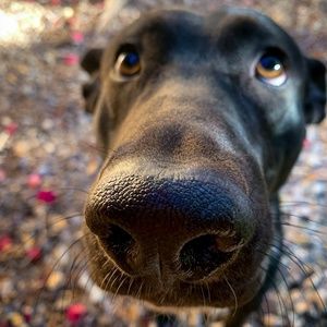 Meet your Posher, Freddy